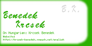 benedek krcsek business card